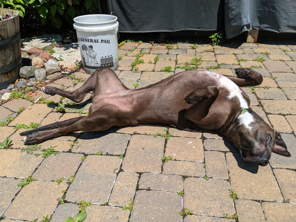 A description of my image.